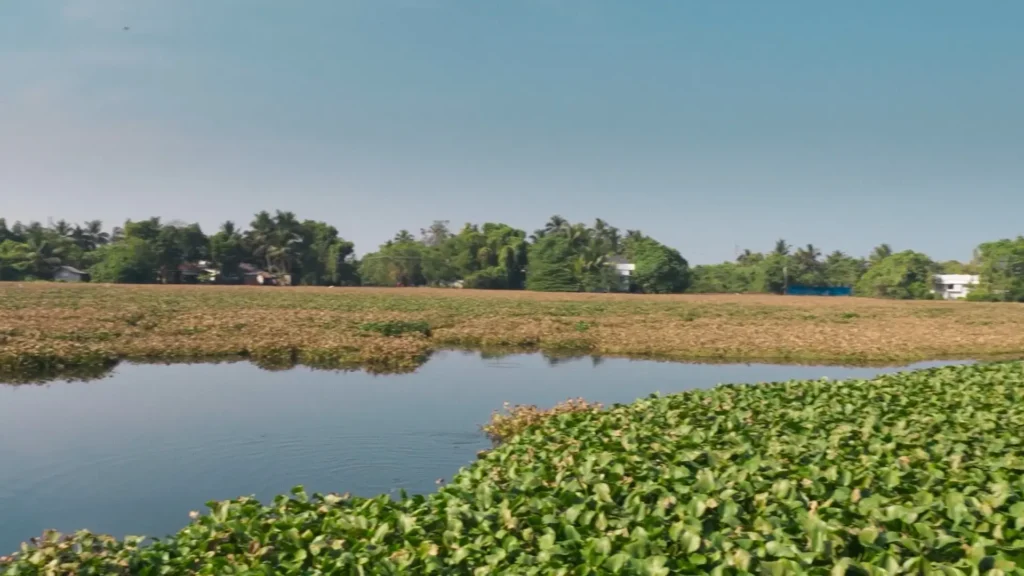 Kochi Canal Regeneration